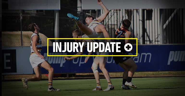 Round 17 Injury Update